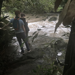 2022 Flooded Great North Walk Hike